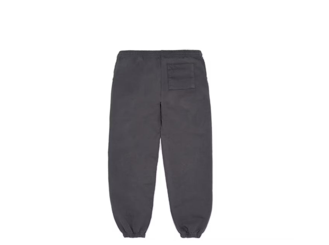 Sp5der wait web sweatpant